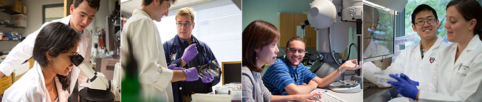 Photo collage, people working in the lab